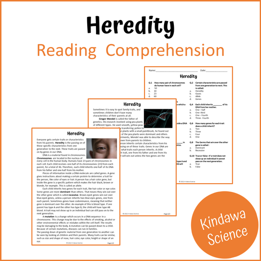 Heredity Reading Comprehension Passage and Questions | Printable PDF