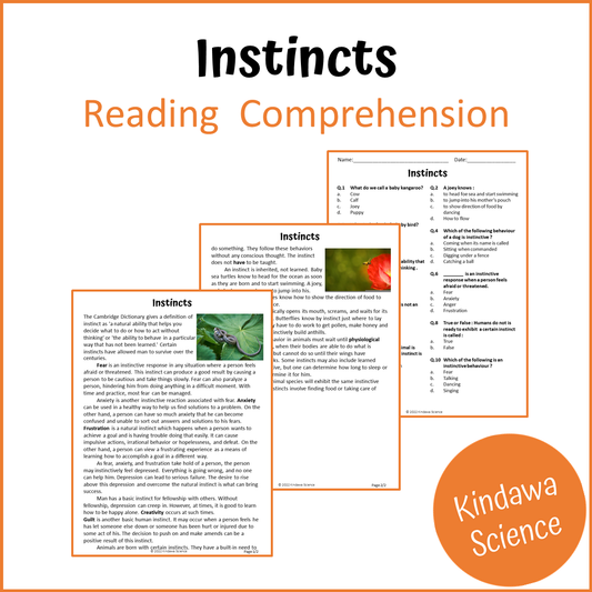 Instincts Reading Comprehension Passage and Questions | Printable PDF