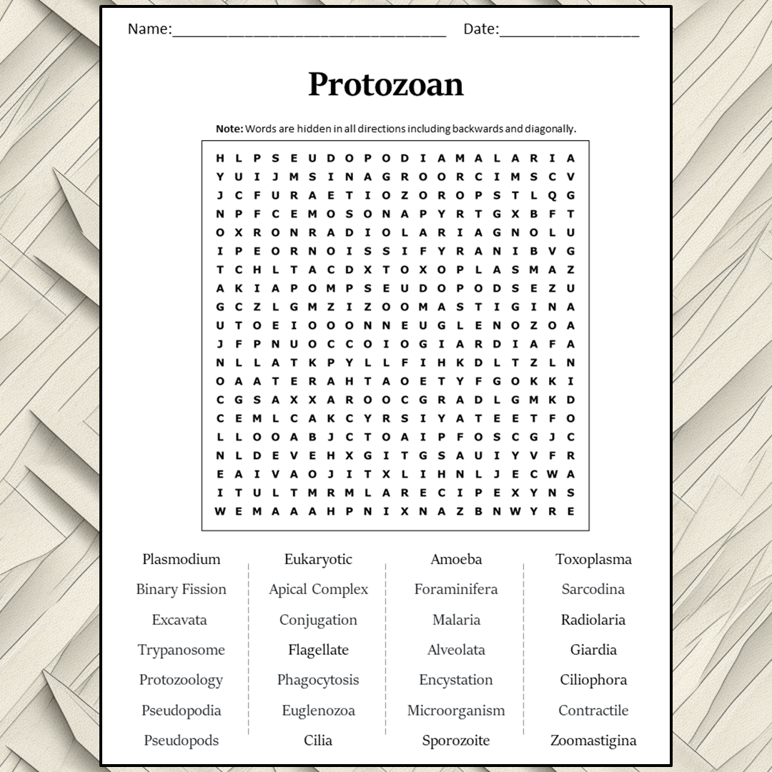 Protozoan Word Search Puzzle Worksheet Activity PDF