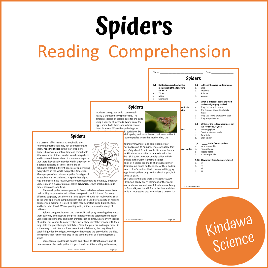 Spiders Reading Comprehension Passage and Questions | Printable PDF