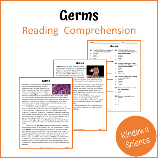 Germs Reading Comprehension Passage and Questions | Printable PDF