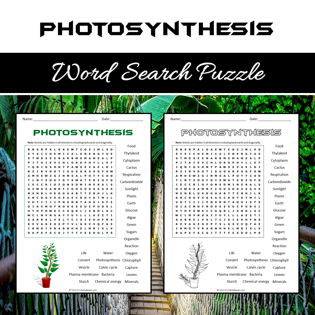 All About Photosynthesis Word Search Puzzle Worksheet PDF