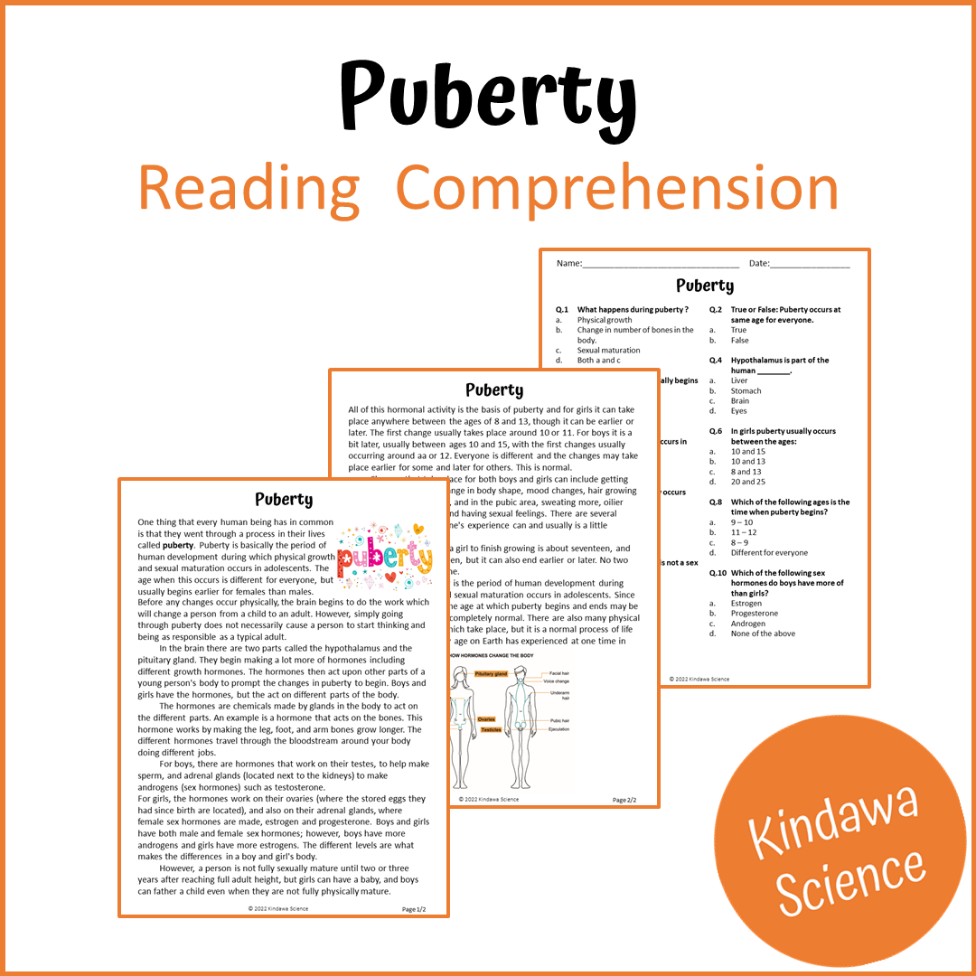 Puberty Reading Comprehension Passage and Questions | Printable PDF