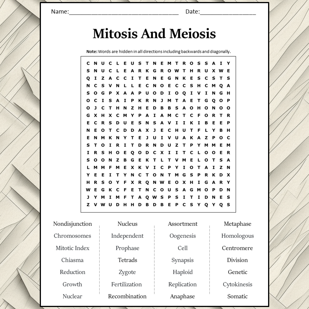 Mitosis And Meiosis Word Search Puzzle Worksheet Activity PDF