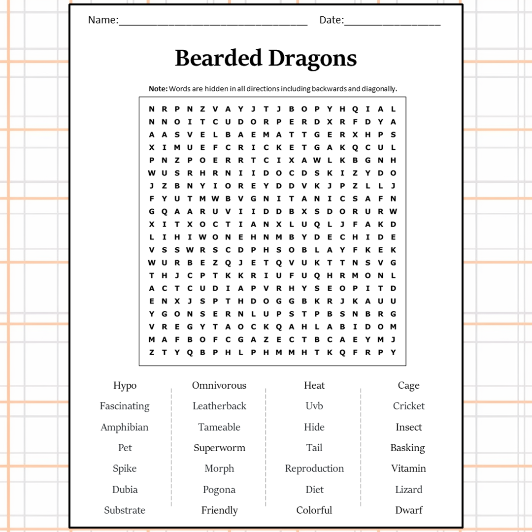 Bearded Dragons Word Search Puzzle Worksheet Activity PDF