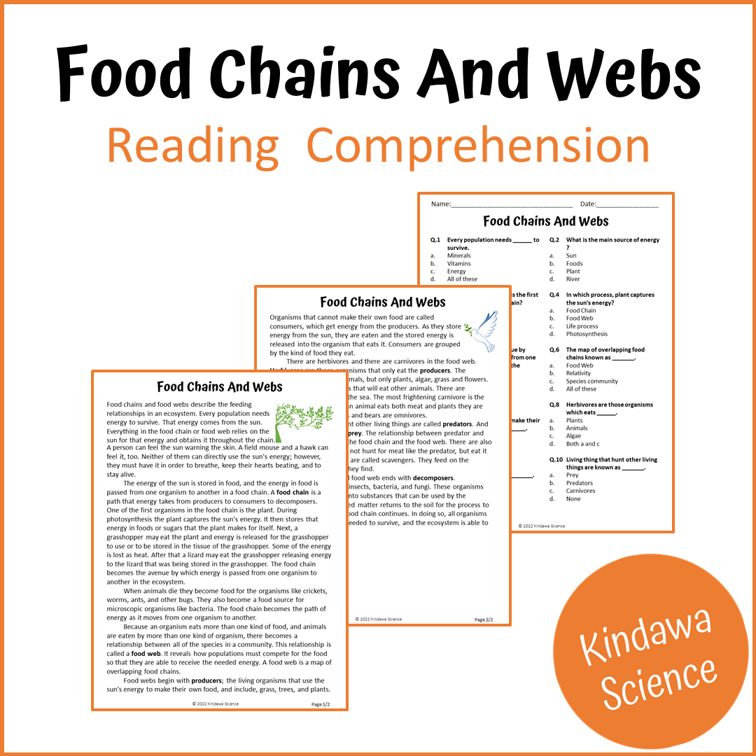 Food Chains And Webs Reading Comprehension Passage and Questions | Printable PDF