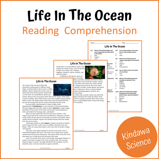 Life In The Ocean Reading Comprehension Passage and Questions | Printable PDF