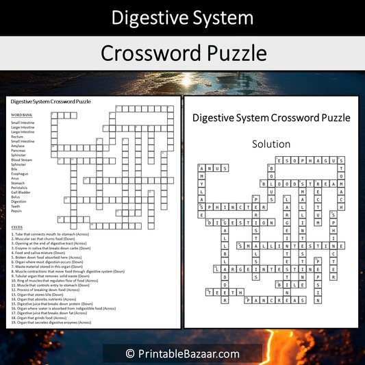 Digestive System Crossword Puzzle Worksheet Activity Printable PDF