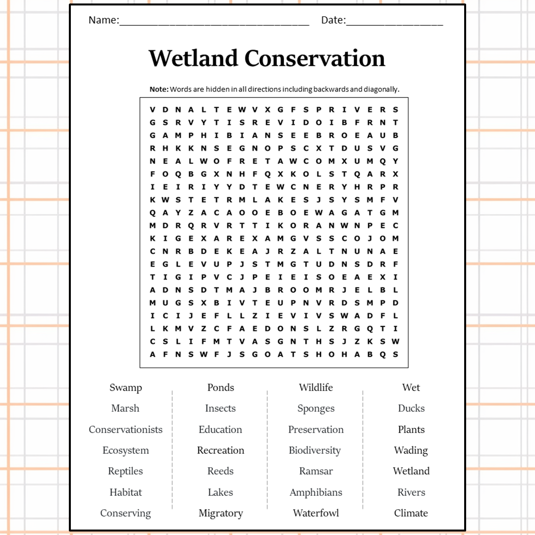 Wetland Conservation Word Search Puzzle Worksheet Activity PDF