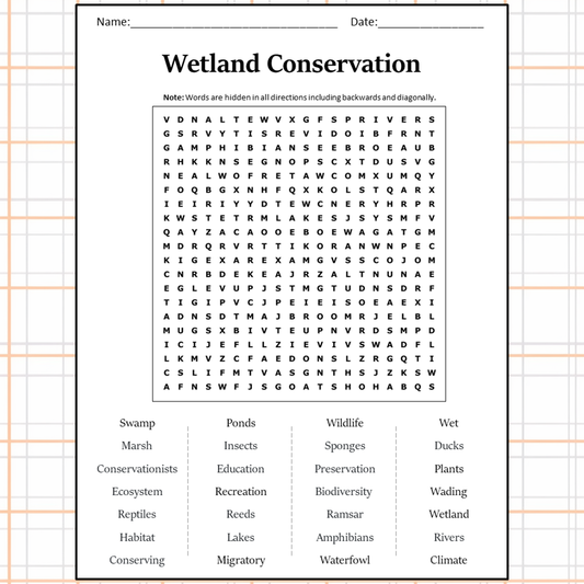 Wetland Conservation Word Search Puzzle Worksheet Activity PDF