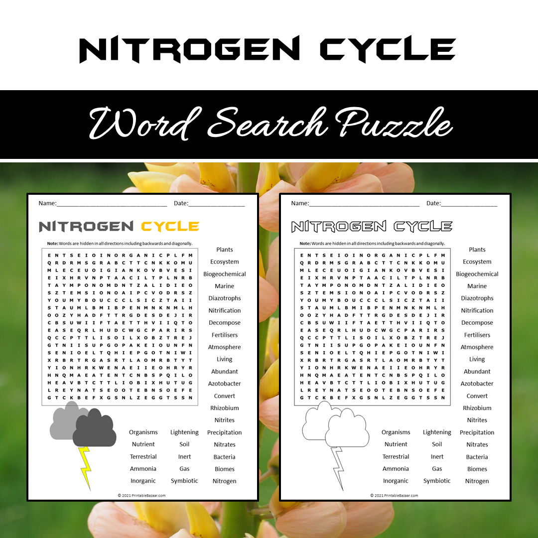 Nitrogen Cycle Word Search Puzzle Worksheet PDF