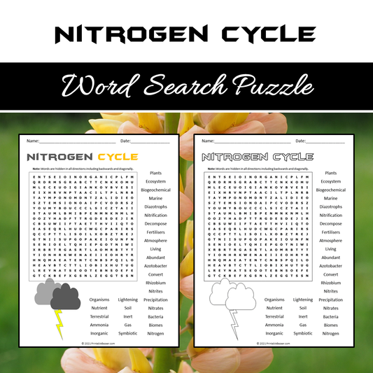 Nitrogen Cycle Word Search Puzzle Worksheet PDF