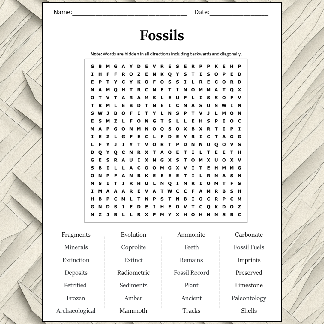 Fossils Word Search Puzzle Worksheet Activity PDF