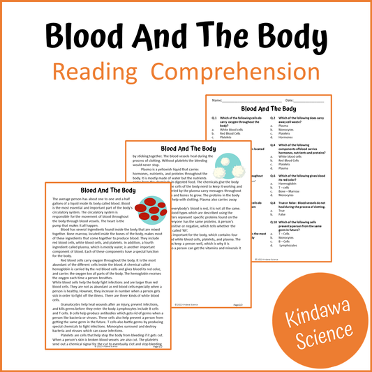 Blood And The Body Reading Comprehension Passage and Questions | Printable PDF