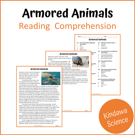 Armored Animals Reading Comprehension Passage and Questions | Printable PDF