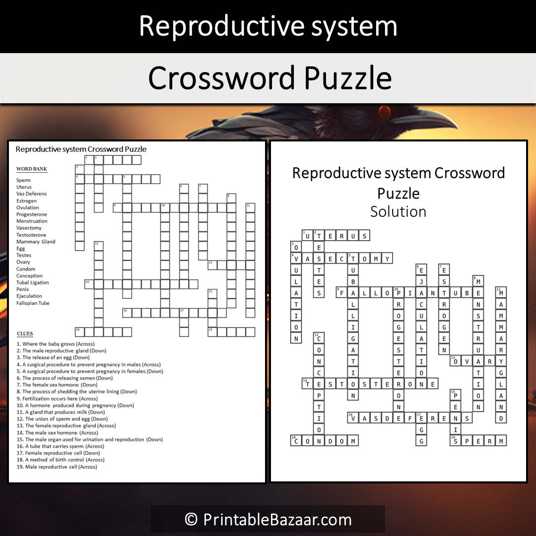 Reproductive System Crossword Puzzle Worksheet Activity Printable PDF