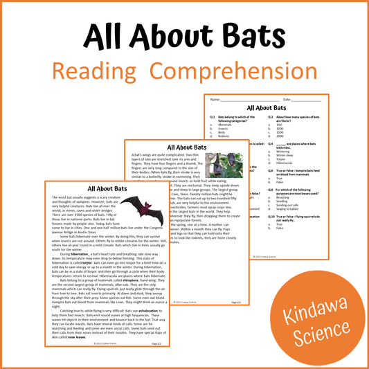 All About Bats Reading Comprehension Passage and Questions | Printable PDF