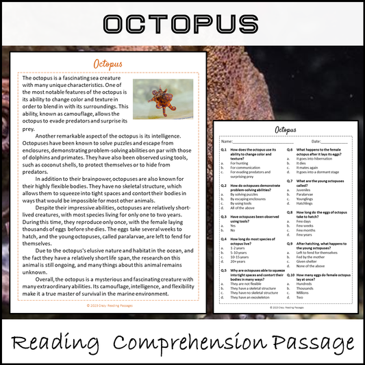 Octopus Reading Comprehension Passage and Questions | Printable PDF