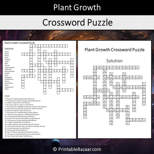 Plant Growth Crossword Puzzle Worksheet Activity Printable PDF