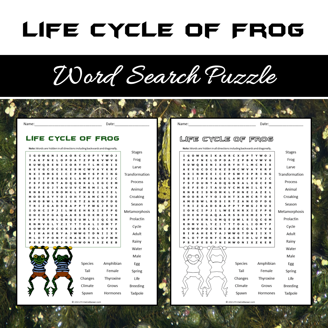 Life Cycle Of Frog Word Search Puzzle Worksheet PDF