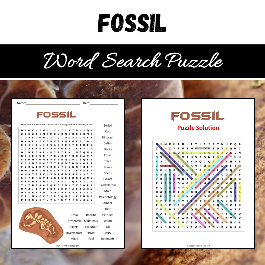 Fossil Word Search Puzzle Worksheet PDF