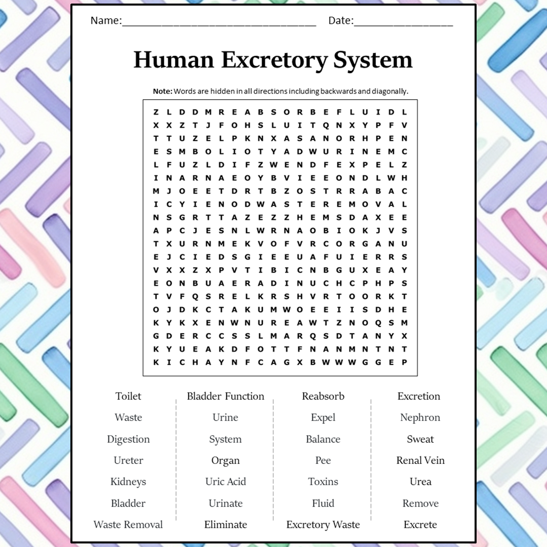 Human Excretory System Word Search Puzzle Worksheet Activity PDF