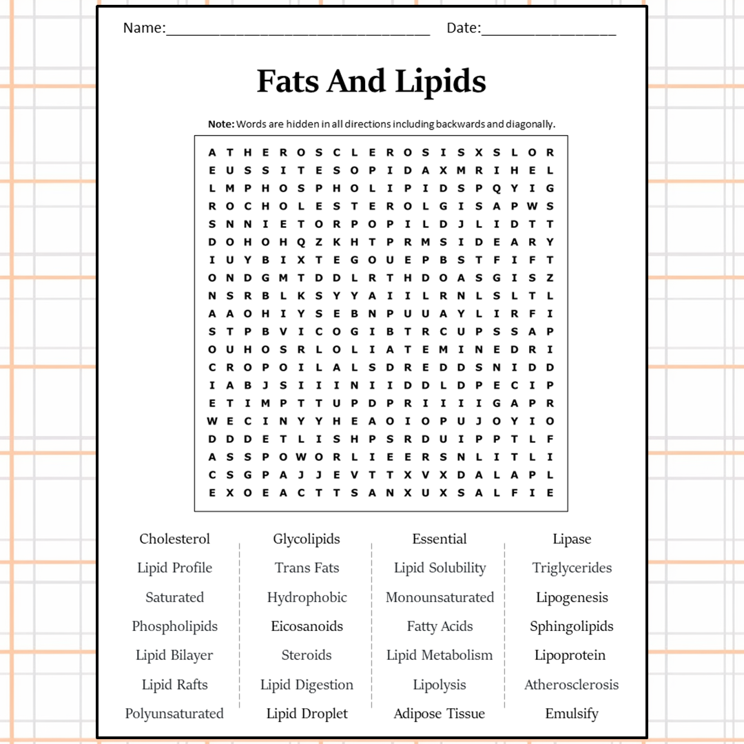 Fats And Lipids Word Search Puzzle Worksheet Activity PDF