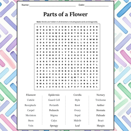 Parts Of A Flower Word Search Puzzle Worksheet Activity PDF