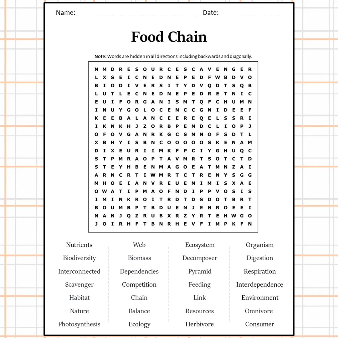 Food Chain Word Search Puzzle Worksheet Activity PDF