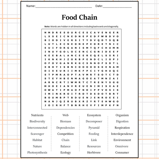 Food Chain Word Search Puzzle Worksheet Activity PDF