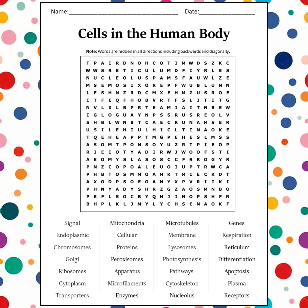 Cells In The Human Body Word Search Puzzle Worksheet Activity PDF