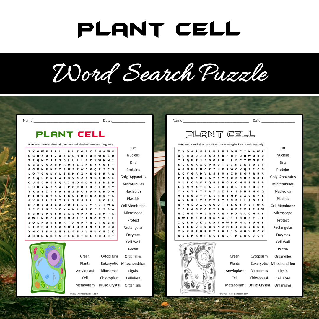 Plant Cell Word Search Puzzle Worksheet PDF