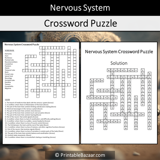 Nervous System Crossword Puzzle Worksheet Activity Printable PDF