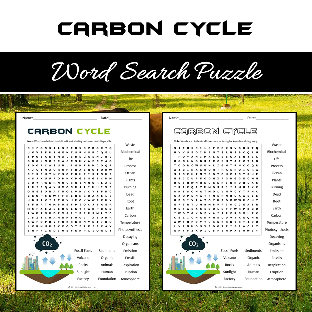 Carbon Cycle Word Search Puzzle Worksheet PDF