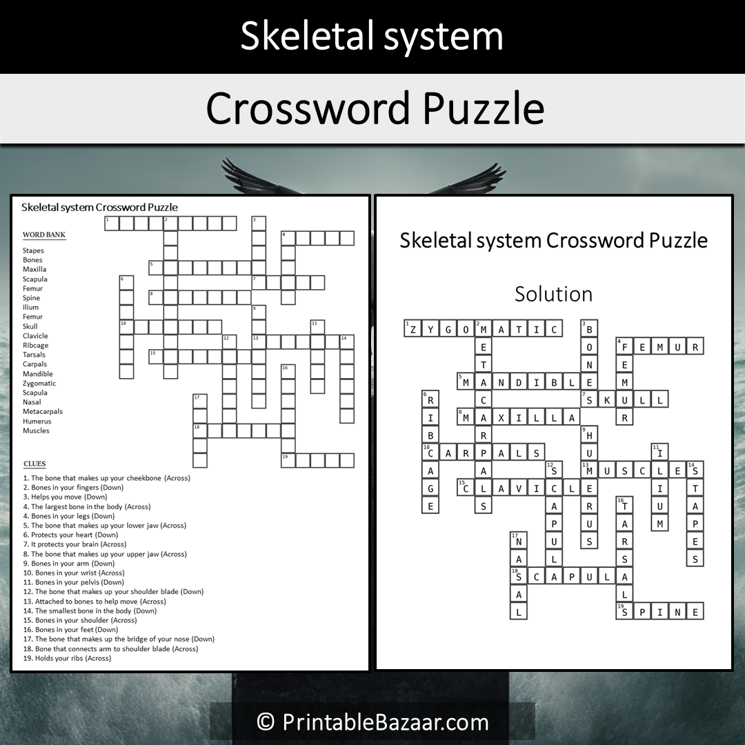 Skeletal System Crossword Puzzle Worksheet Activity Printable PDF