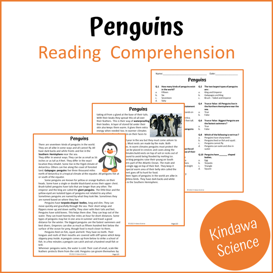 Penguins Reading Comprehension Passage and Questions | Printable PDF