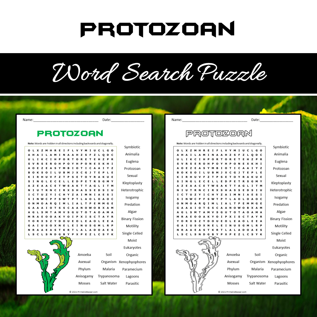 Protozoan Word Search Puzzle Worksheet PDF