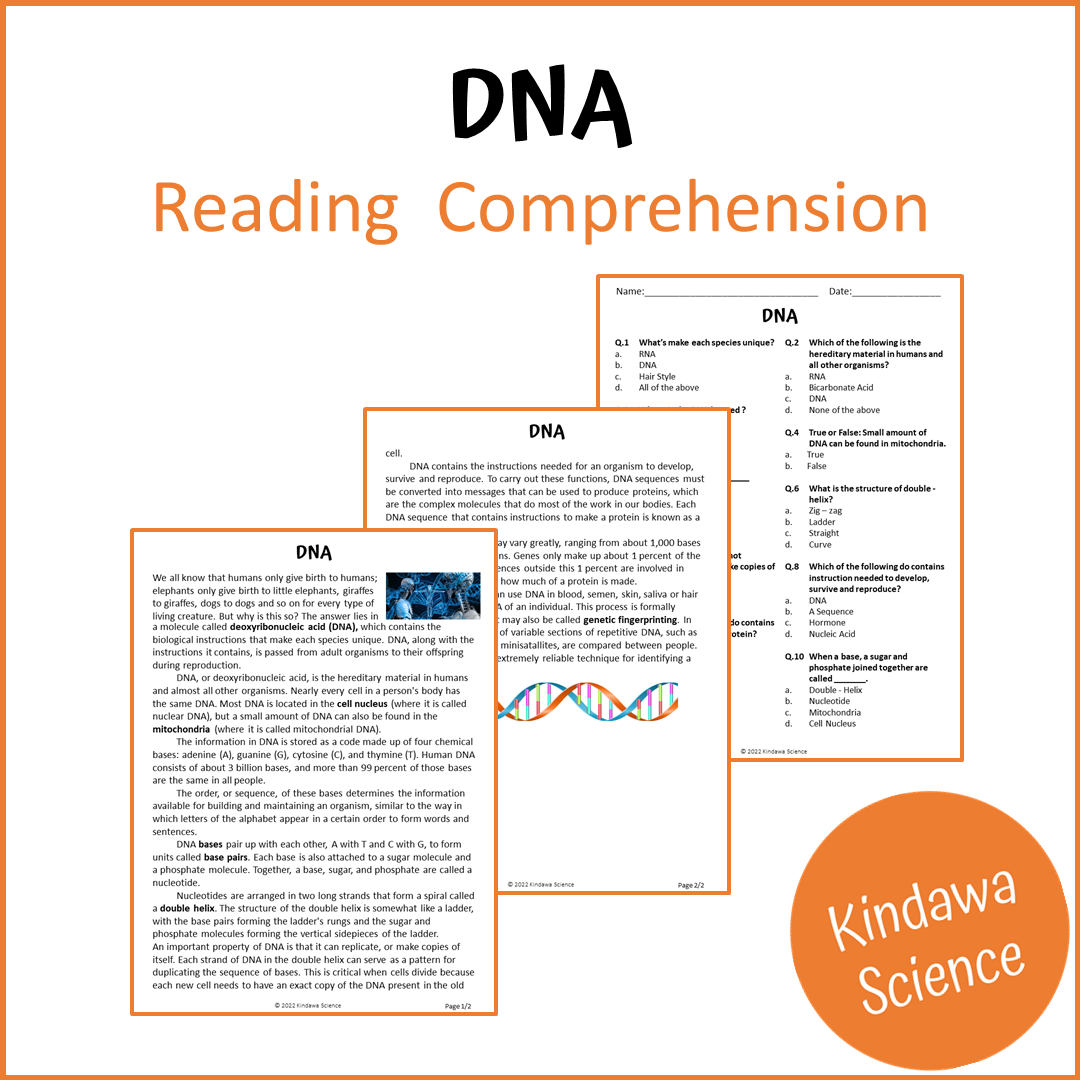 Dna Reading Comprehension Passage and Questions | Printable PDF