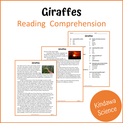 Giraffes Reading Comprehension Passage and Questions | Printable PDF