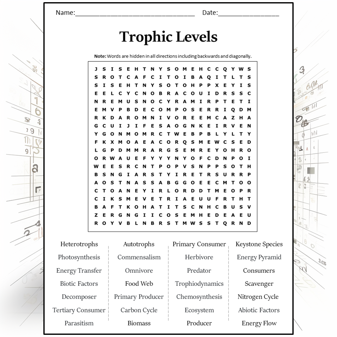 Trophic Levels Word Search Puzzle Worksheet Activity PDF