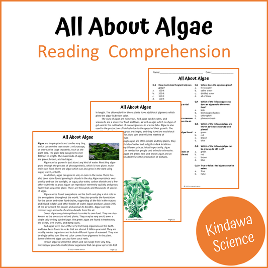 All About Algae Reading Comprehension Passage and Questions | Printable PDF