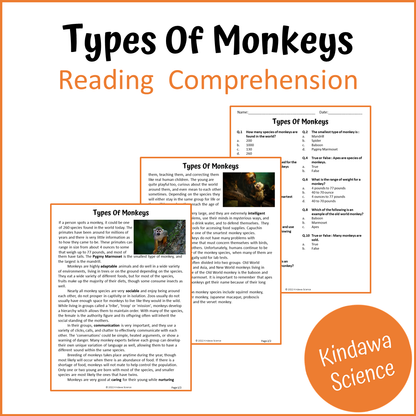 Types Of Monkeys Reading Comprehension Passage and Questions | Printable PDF