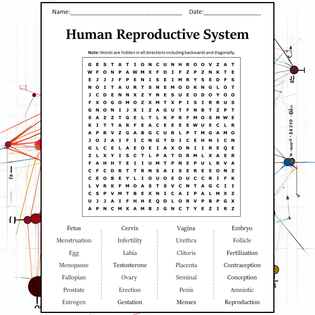 Human Reproductive System Word Search Puzzle Worksheet Activity PDF