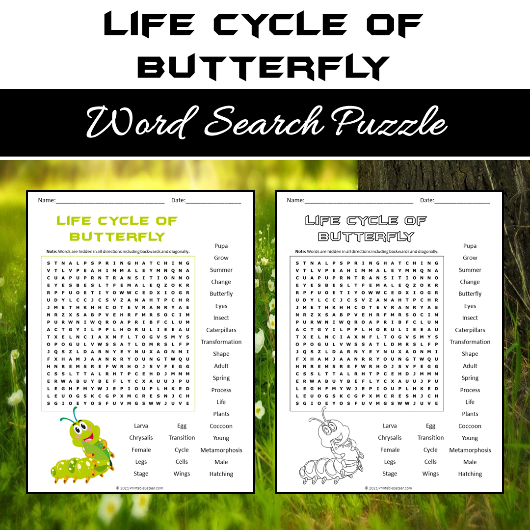 Life Cycle Of Butterfly Word Search Puzzle Worksheet PDF