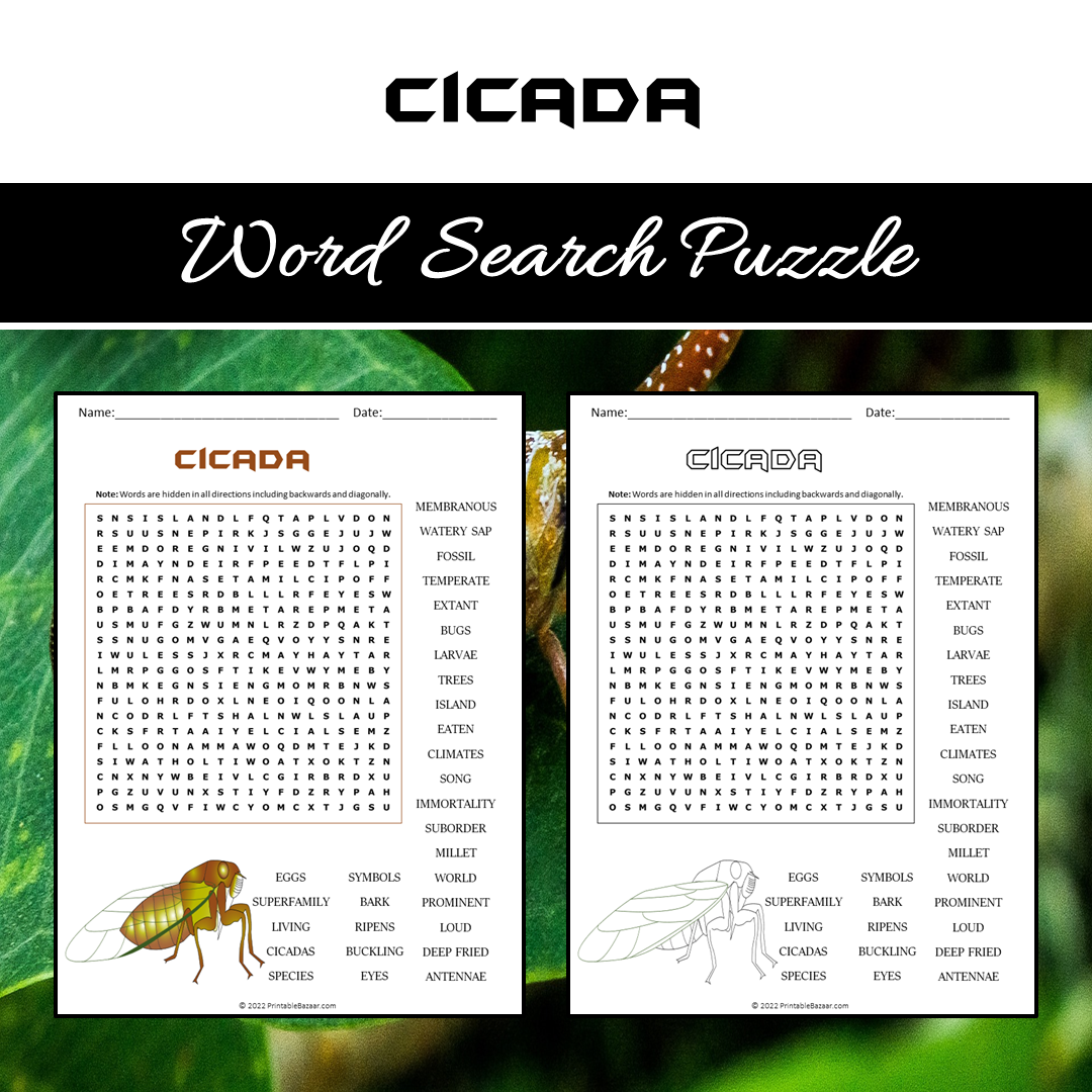 Cicada Word Search Puzzle Worksheet PDF