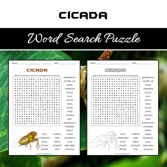 Cicada Word Search Puzzle Worksheet PDF