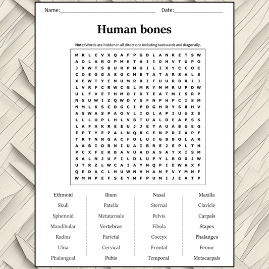 Human Bones Word Search Puzzle Worksheet Activity PDF