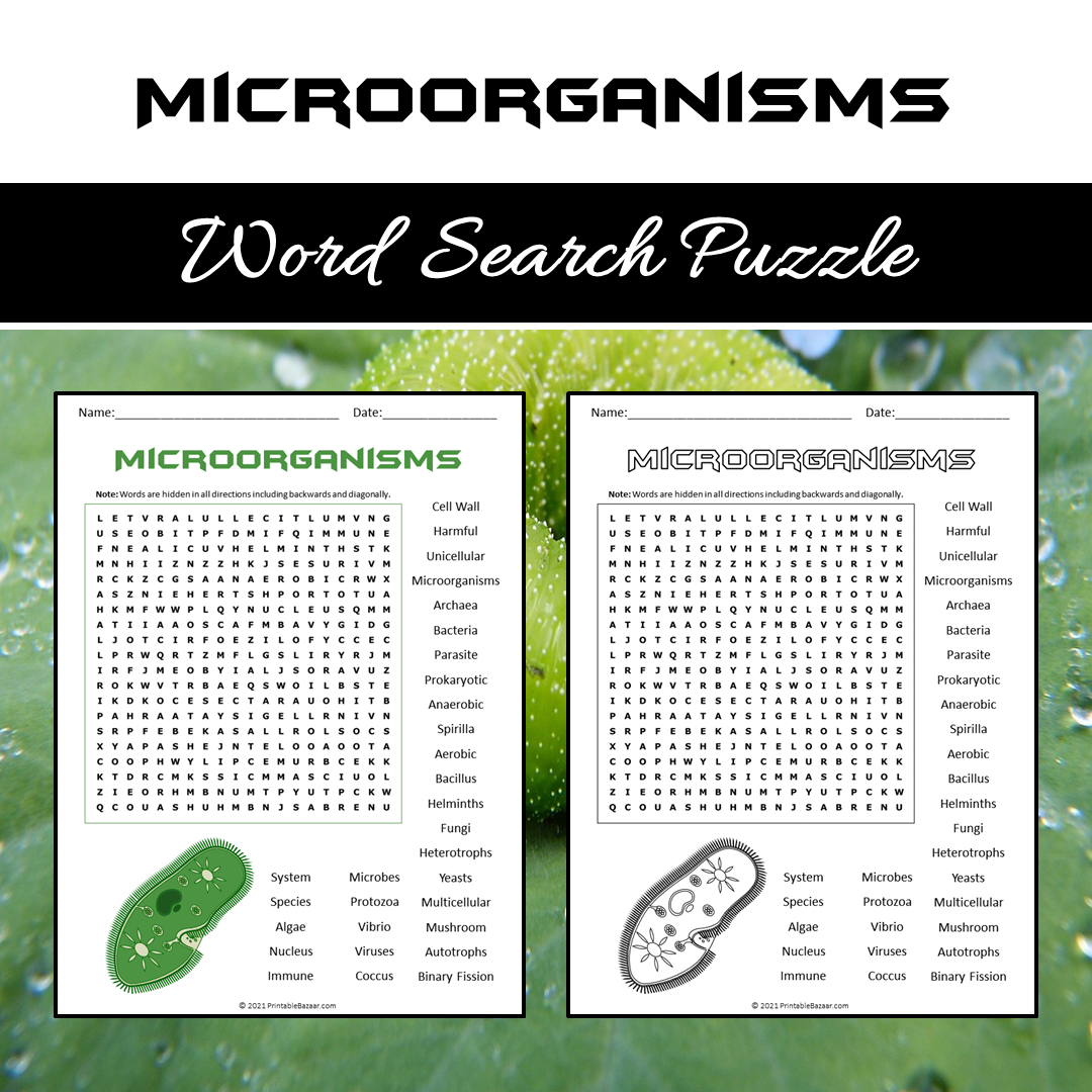 Microorganisms Word Search Puzzle Worksheet PDF – PrintableBazaar