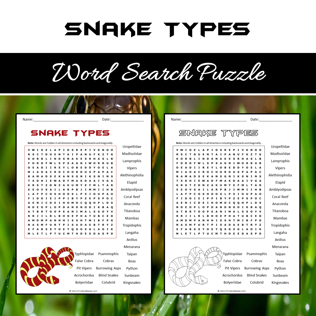 Snake Types Word Search Puzzle Worksheet PDF
