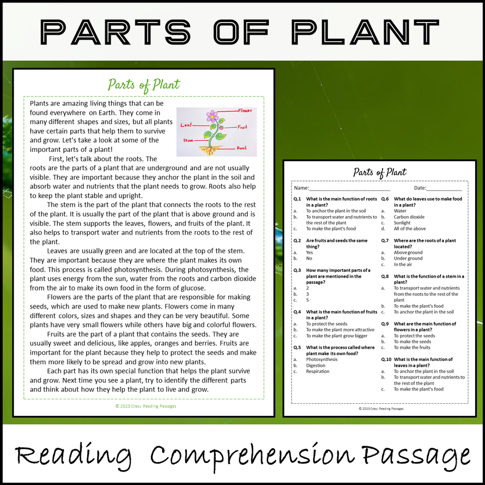 Parts Of Plant Reading Comprehension Passage And Questions Printable Printablebazaar